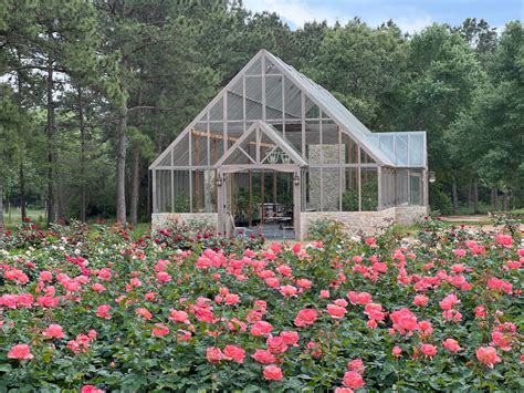 Rose farm - Oak & the Owl & Ella Rose Farm The hard work, love, and care Nancy puts into what she grows means her clients have access to the freshest product, cut at just the right moment. This results in romantically bloomed-out roses perfect for garden-style design.